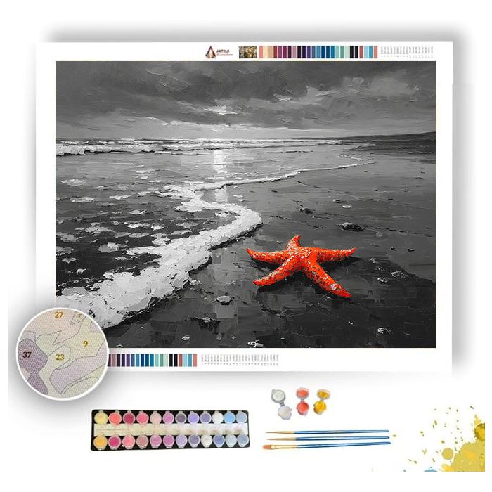 CORAL CRESCENT - Paint by Numbers Full Kit