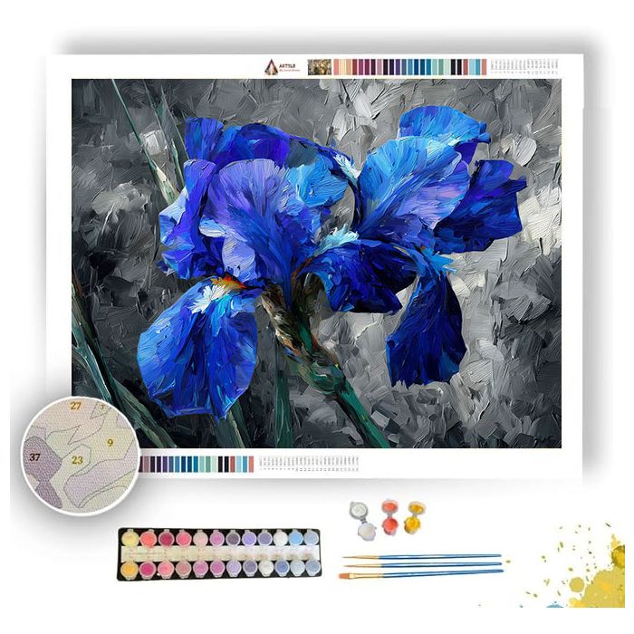 INDIGO IRIS - Paint by Numbers Full Kit