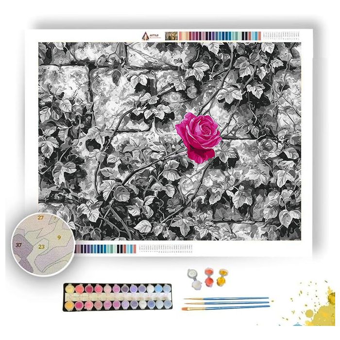 MAGENTA MURAL - Paint by Numbers Full Kit