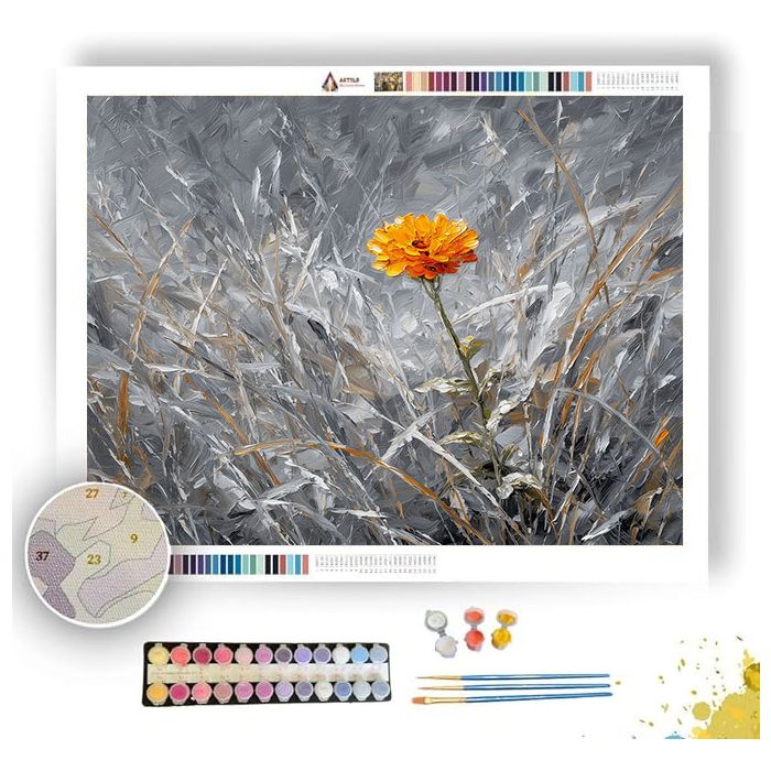 MARIGOLD MEADOW - Paint by Numbers Full Kit