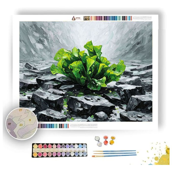 EMERALD ECHO BW - Paint by Numbers Full Kit