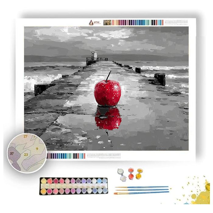 RUBY REFLECTION BW - Paint by Numbers Full Kit