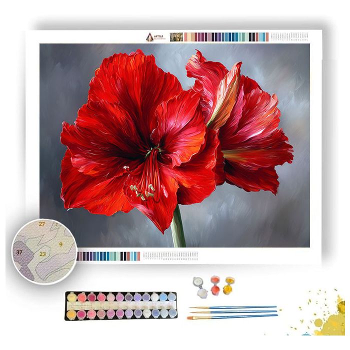 AMARYLLIS GLOW - Paint by Numbers Full Kit