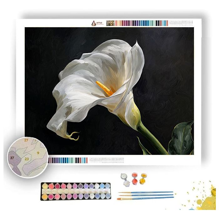 CALLA LILY GRACE - Paint by Numbers Full Kit