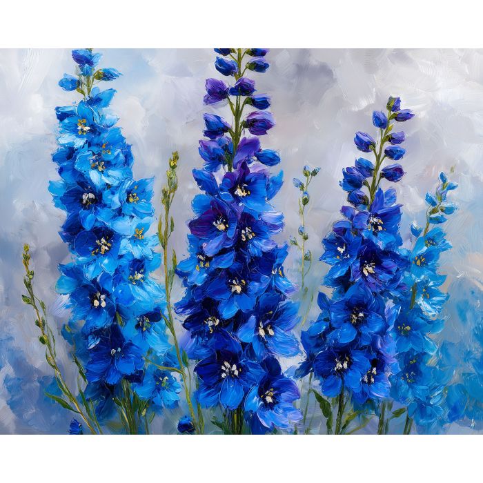 DELPHINIUM DREAMS