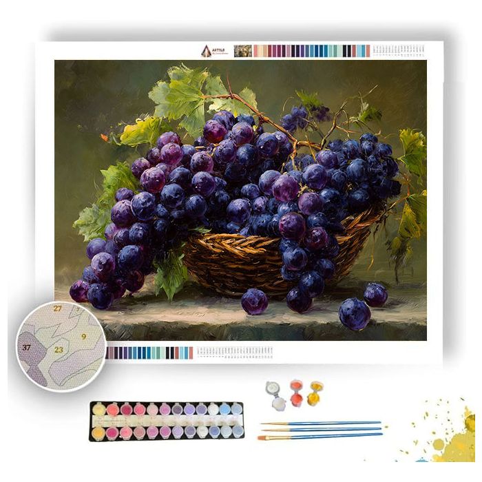 GRAPE EXPECTATIONS - Paint by Numbers Full Kit