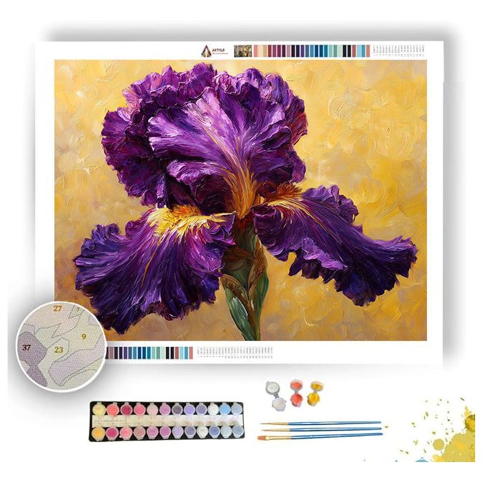 IRIS MAJESTY - Paint by Numbers Full Kit