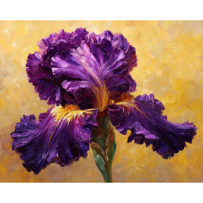 IRIS MAJESTY