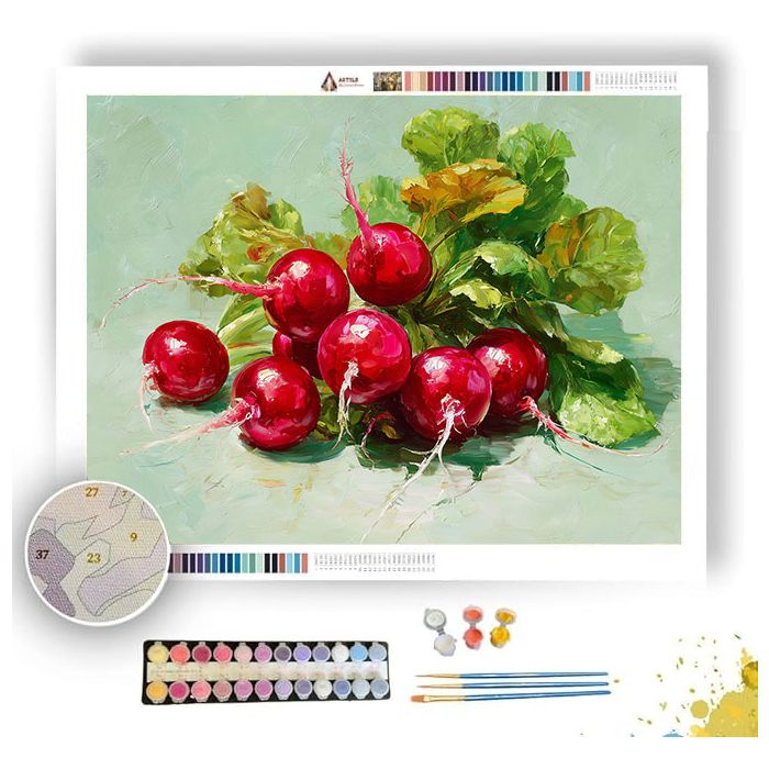 RADISH RUSH - Paint by Numbers Full Kit