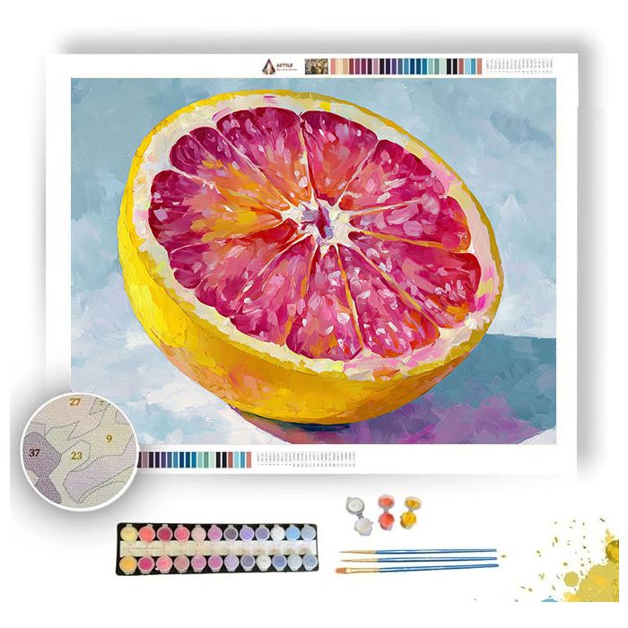 SUNLIT GRAPEFRUIT - Paint by Numbers Full Kit