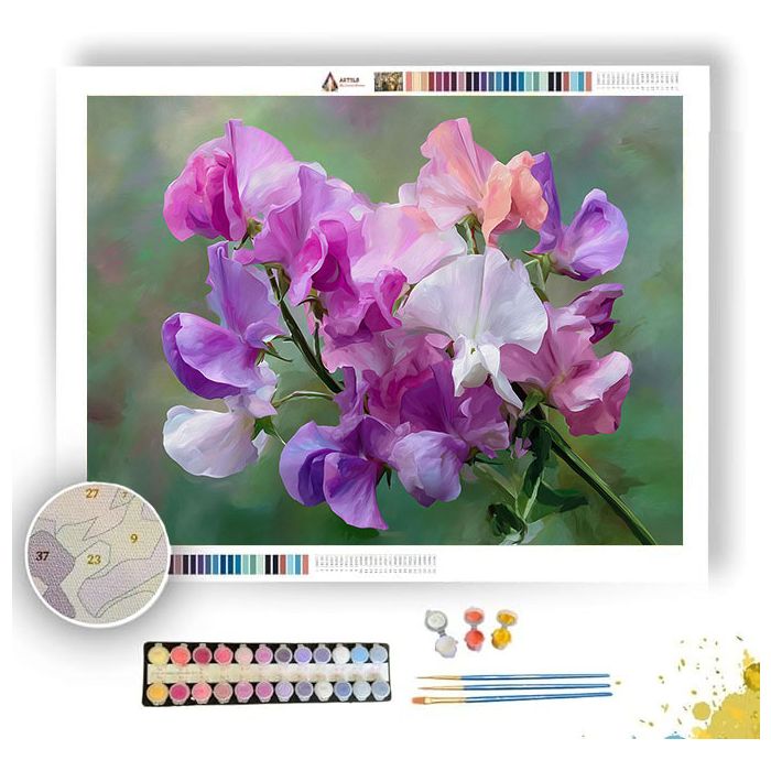 SWEET PEA PERFUME - Paint by Numbers Full Kit