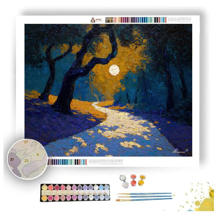 THE MOONS SHADOW - Paint by Numbers Full Kit