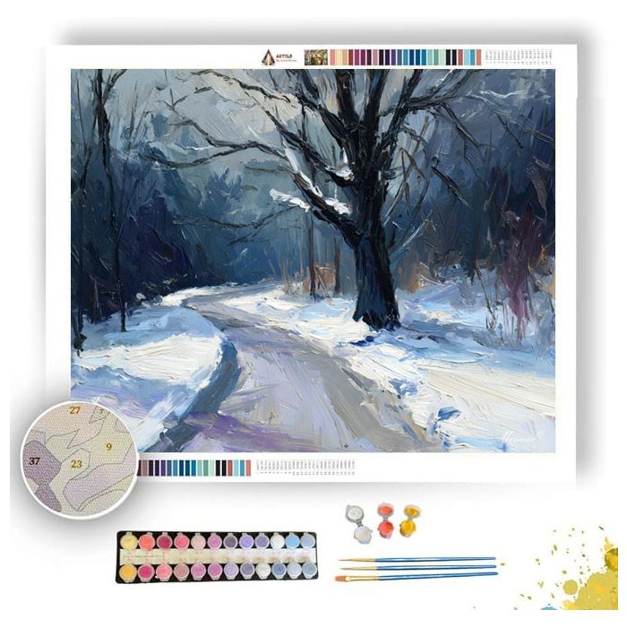THE SNOWY PATH - Paint by Numbers Full Kit