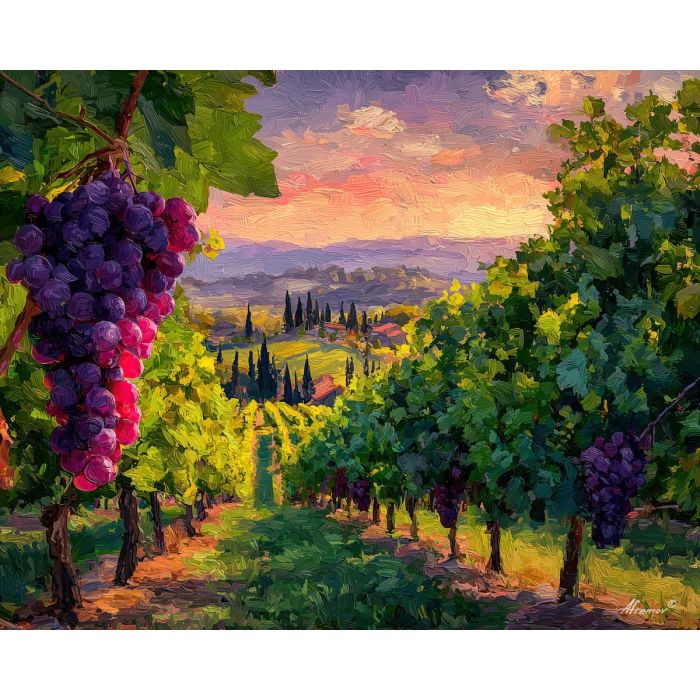 SUNRISE OVER VINEYARD