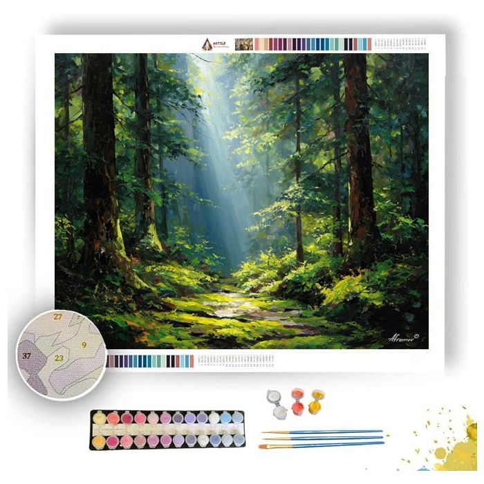 PERIDOT PASSAGEWAY - Paint by Numbers Full Kit