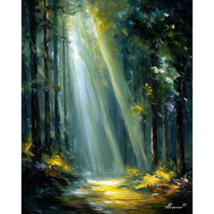 FOREST PATH ILLUMINATED