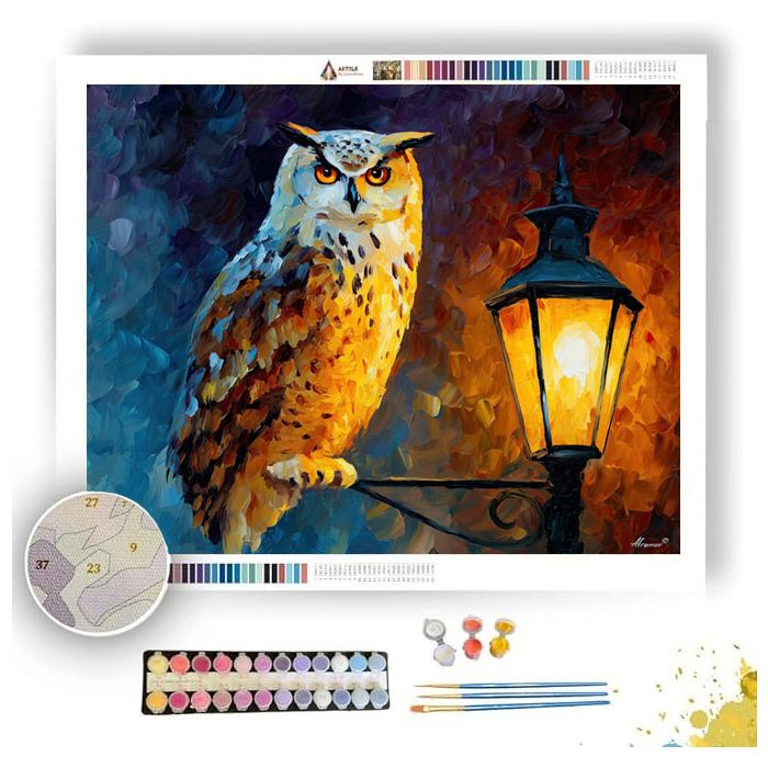MASKED OWL - Paint by Numbers Full Kit