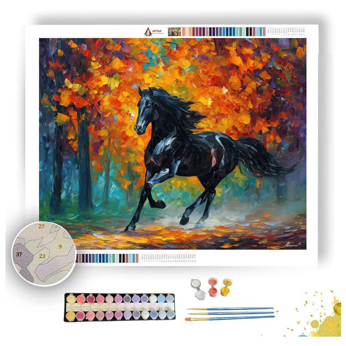 OBSIDIAN HORSE - Paint by Numbers Full Kit