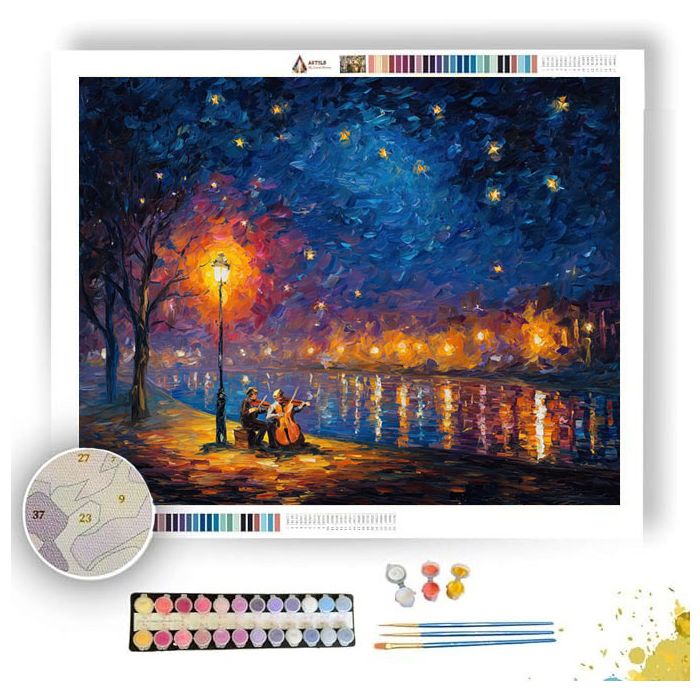 SONG OF THE NIGHT SKY - Paint by Numbers Full Kit