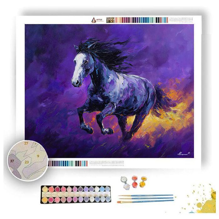 THE PURPLE HORSE SKY - Paint by Numbers Full Kit