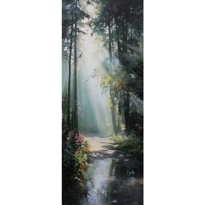 LUMINOUS SHADOWS