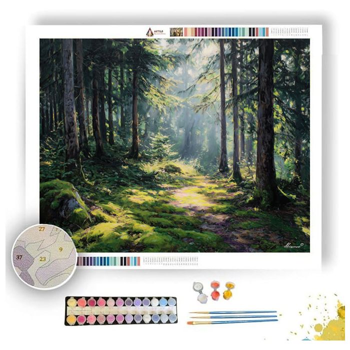 FOREST CLEARING - Paint by Numbers Full Kit