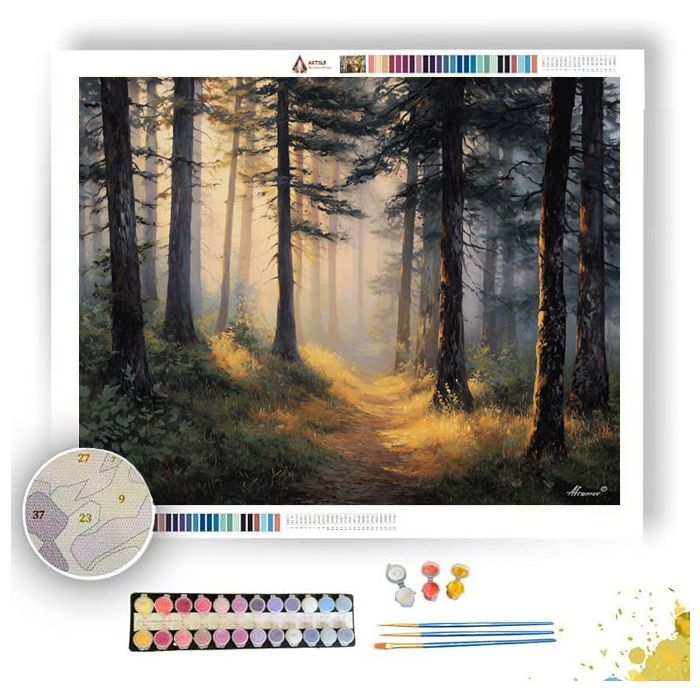 BLACK FOREST PATH - Paint by Numbers Full Kit