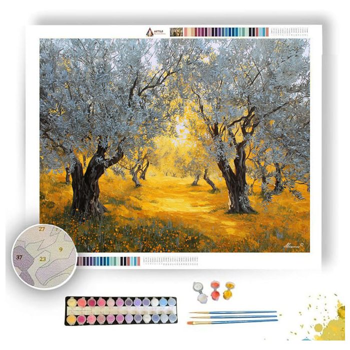 OLIVE GROVE MELODY - Paint by Numbers Full Kit