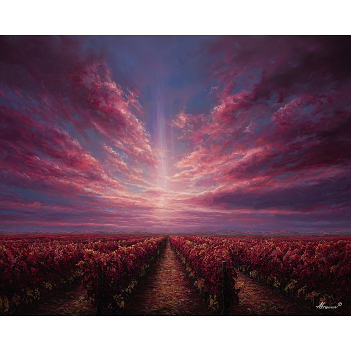 VINEYARD OF LIGHT