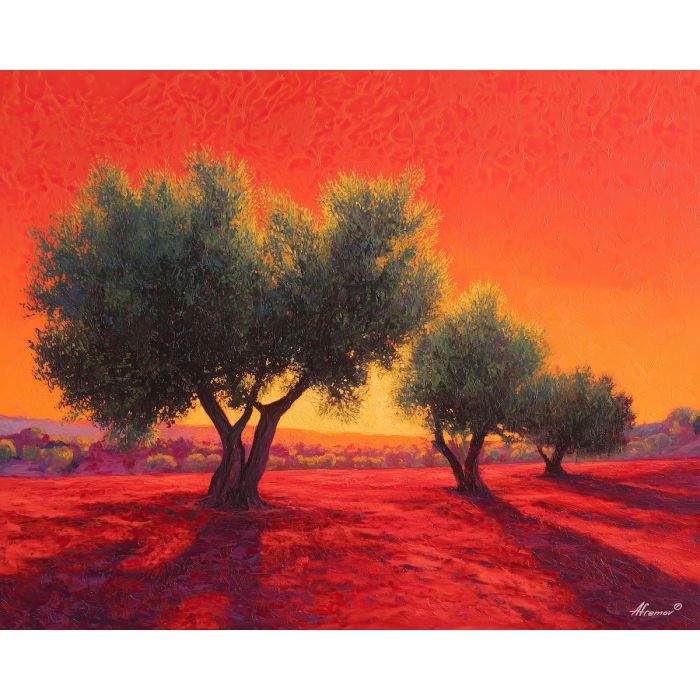 SPANISH OLIVE GROVE