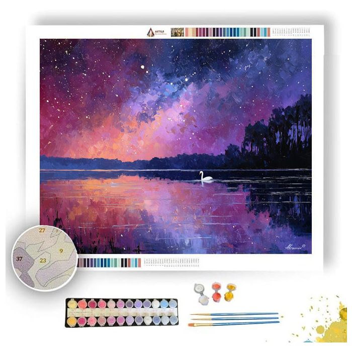DREAMING SWAN LAKE - Paint by Numbers Full Kit