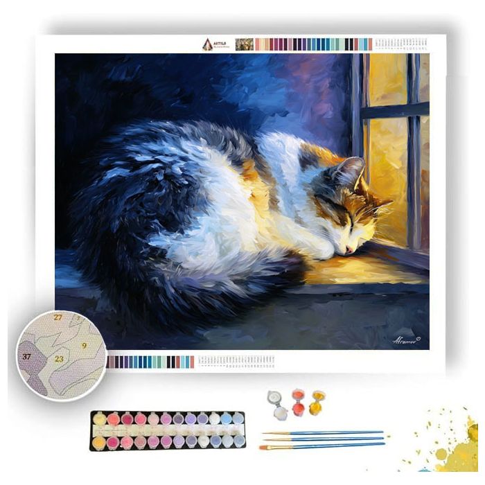 DREAMING CAT - Paint by Numbers Full Kit