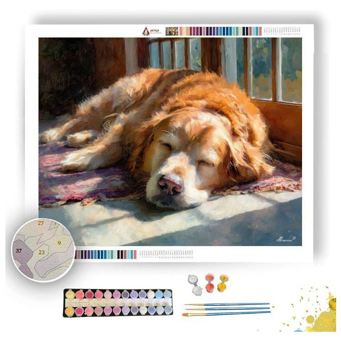 DOG IN SUNLIGHT - Paint by Numbers Full Kit