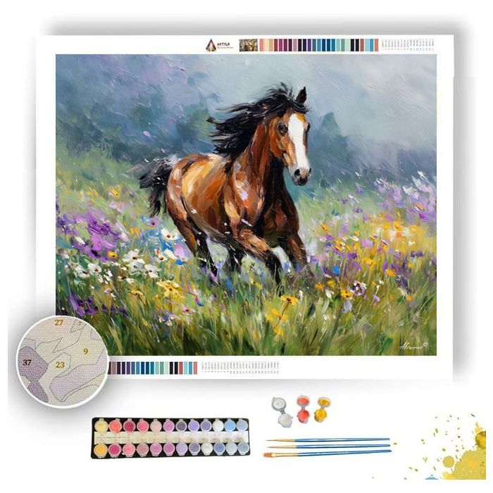 HORSE MEADOW FREEDOM - Paint by Numbers Full Kit
