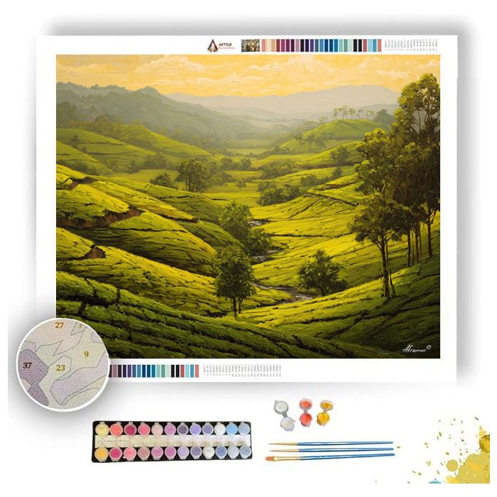 SRI LANKAN TEA GARDEN - Paint by Numbers Full Kit