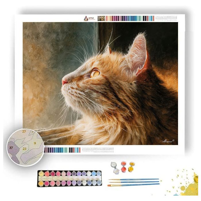CAT AT THE WINDOWLIGHT - Paint by Numbers Full Kit