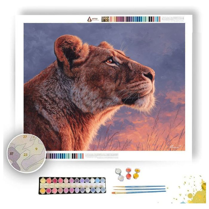 LIONESS AND SKY - Paint by Numbers Full Kit