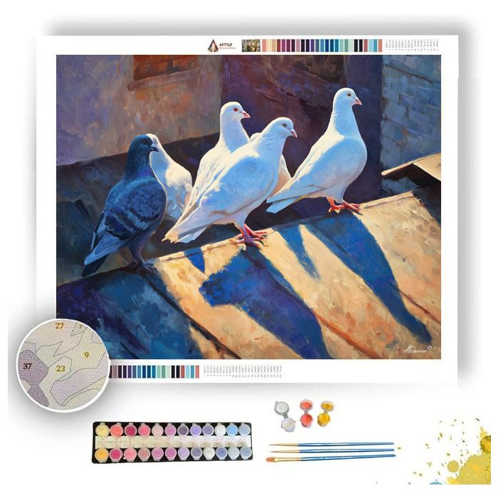 PIGEONS IN SUNLIGHT - Paint by Numbers Full Kit
