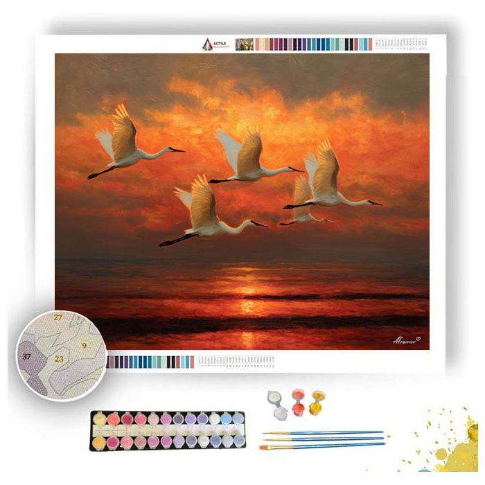 WINGS OVER WATER - Paint by Numbers Full Kit