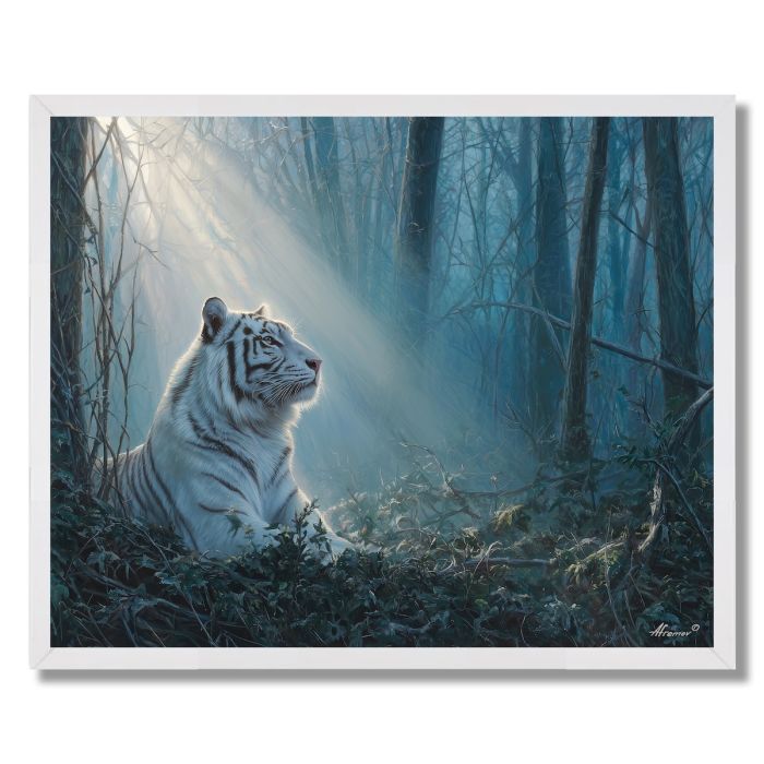 WHITE TIGER DREAM - FRAMED