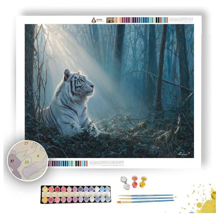 WHITE TIGER DREAM - Paint by Numbers Full Kit
