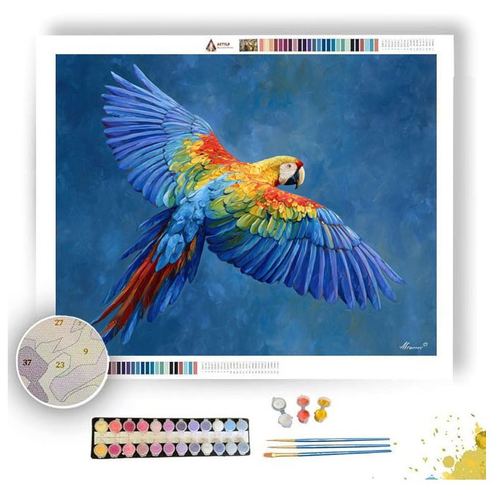 PARROT SYMPHONY - Paint by Numbers Full Kit