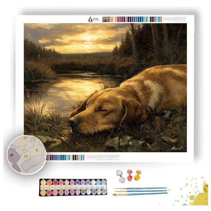 HOUND AT REST - Paint by Numbers Full Kit