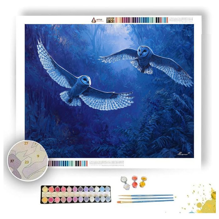 MOONLIGHT FLIGHT - Paint by Numbers Full Kit
