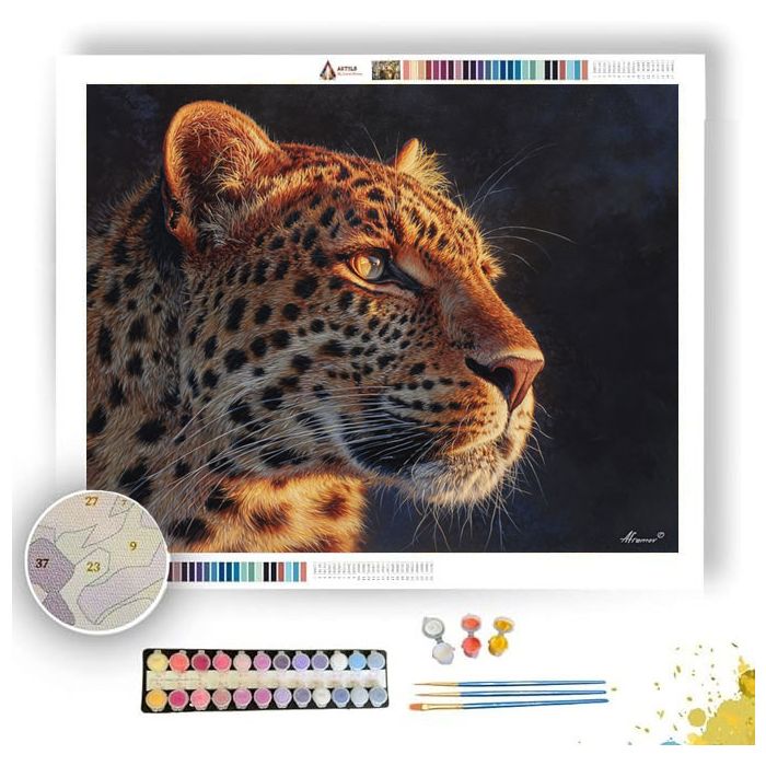 SUNLIT LEOPARD - Paint by Numbers Full Kit