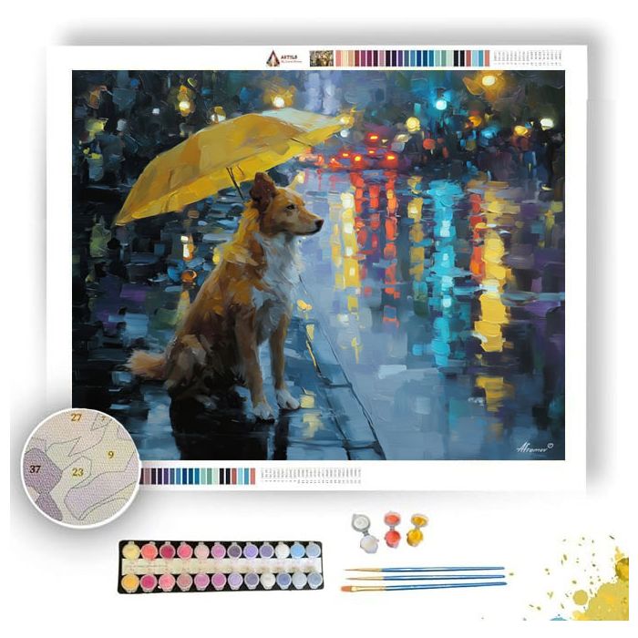 RAINY PARK DOG - Paint by Numbers Full Kit