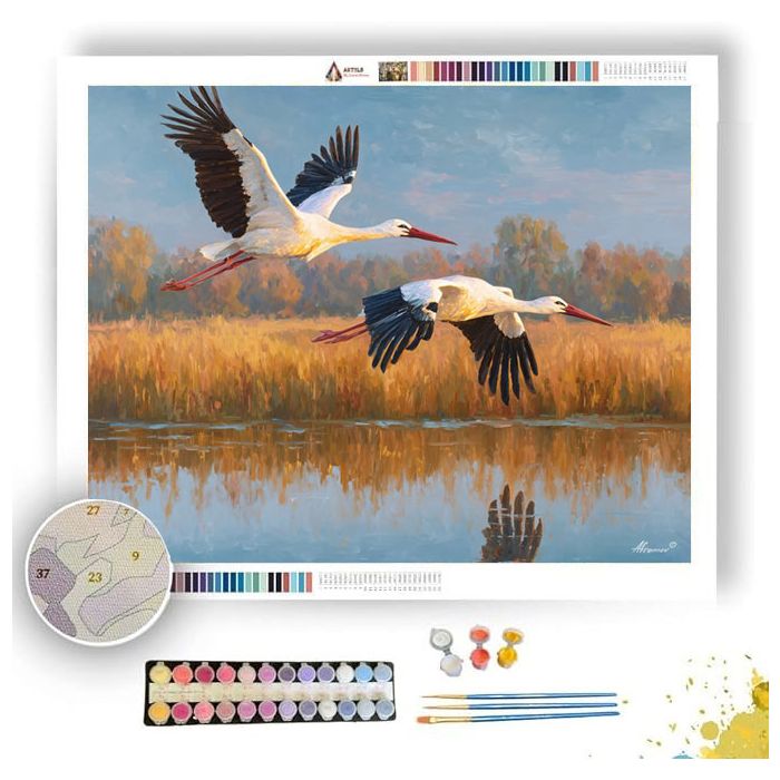 STORKS ABOVE WATER - Paint by Numbers Full Kit