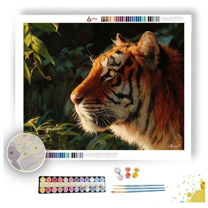TIGER IN SUNLIGHT - Paint by Numbers Full Kit
