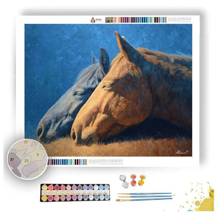 HORSES AT REST - Paint by Numbers Full Kit