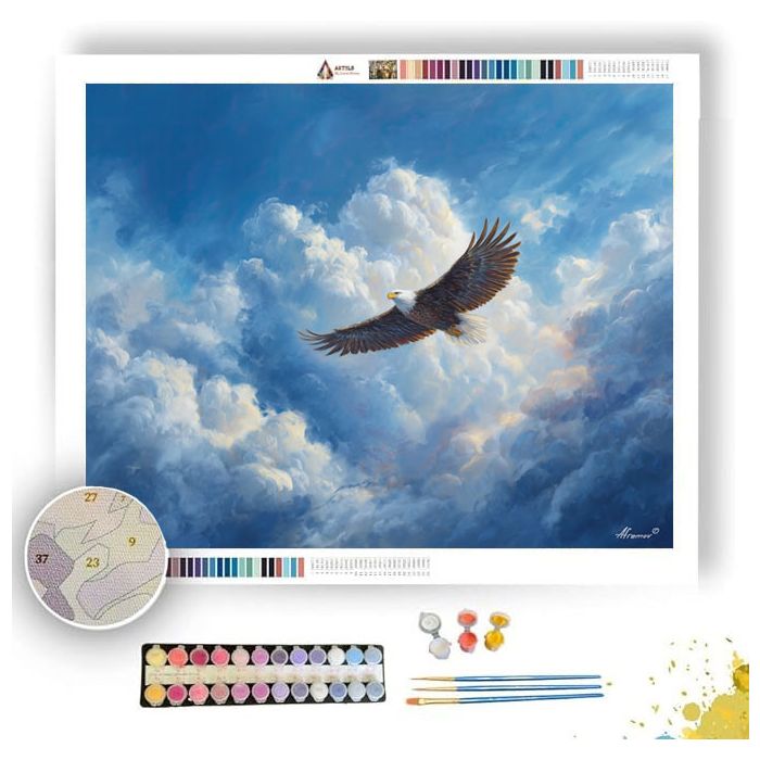 EAGLE IN THE CLOUDS - Paint by Numbers Full Kit